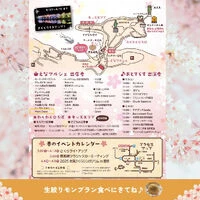 画像2533