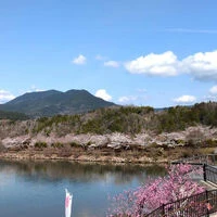画像2537