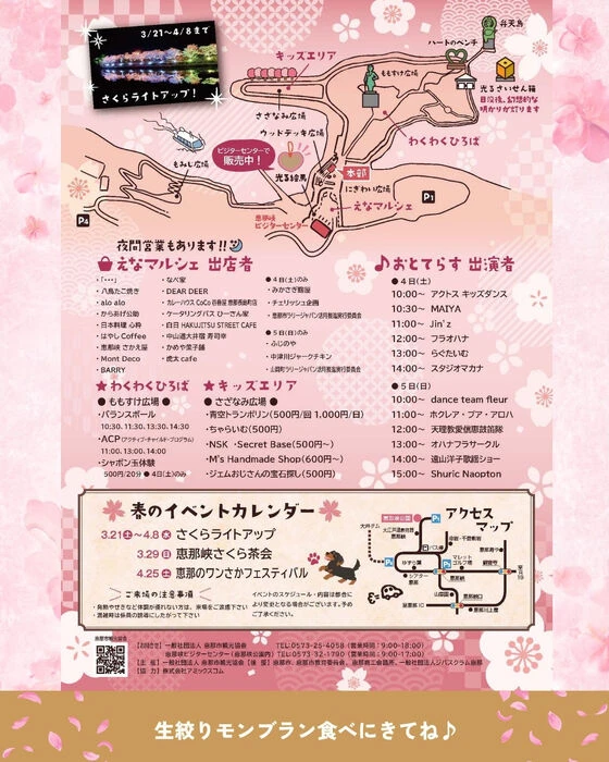 画像2975